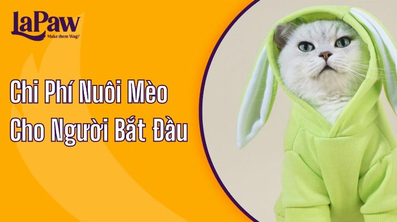 Kinh nghiệm thực tế từ người nuôi mèo Anh lông ngắn chia sẻ về chi phí và niềm vui khi sở hữu giống mèo này.
